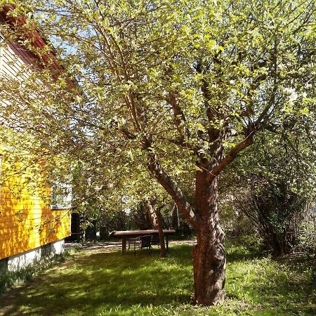 Renovated Semi- Basement 2 Bedrooms Furnished Apartment - Close To Everything In Мос Екстериор снимка